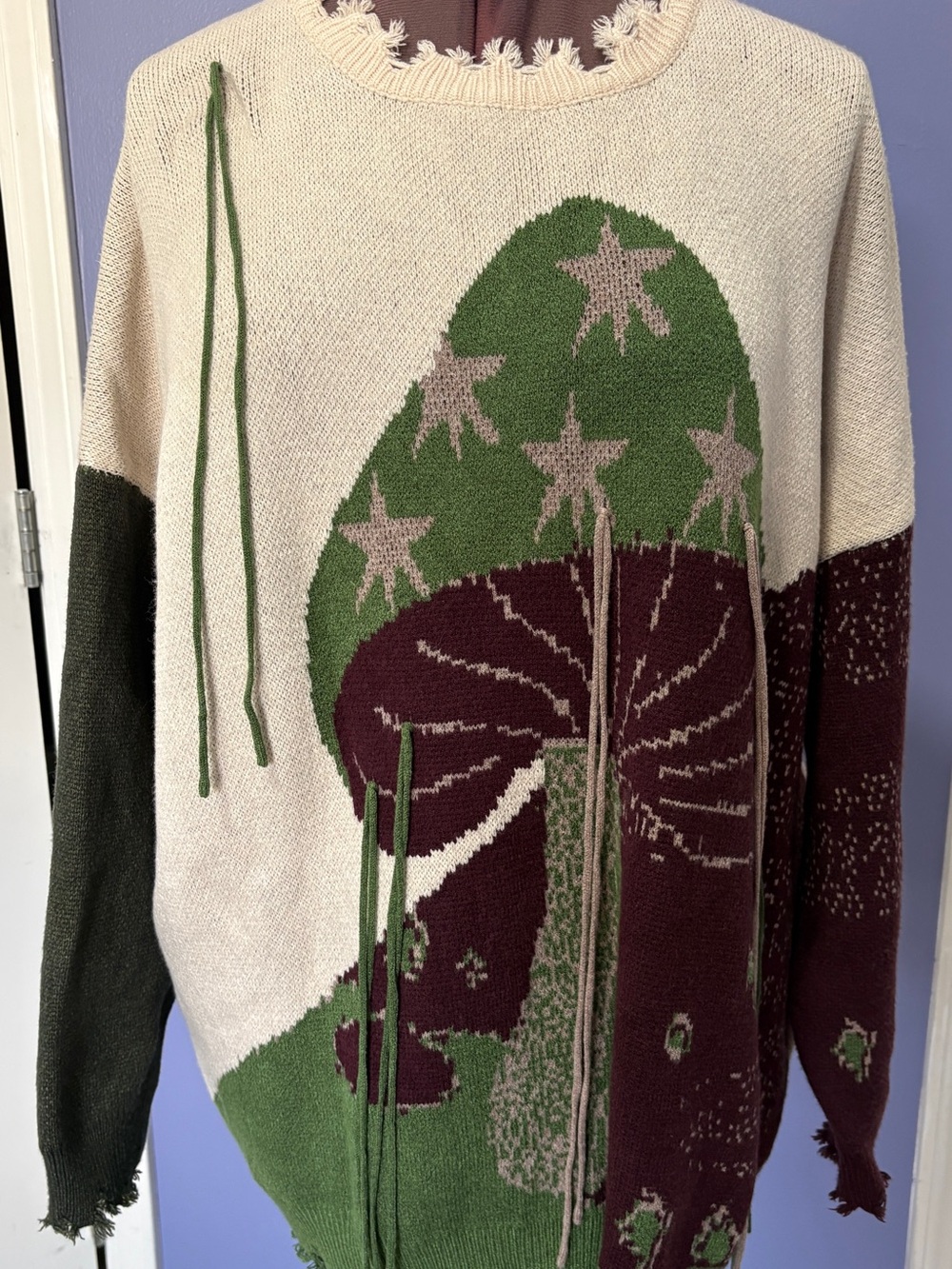 Cider Mushroom Star Print Colorblock Distressed Knit Sweater